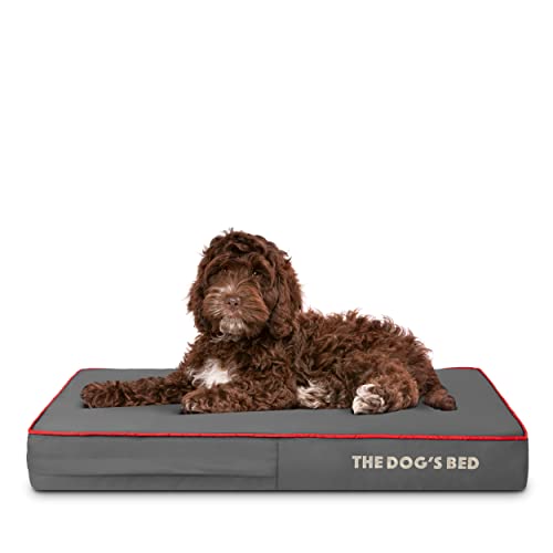 The Dog’s Bed   Cama ortopédica para perros mediana 85 x 56 cm, gris con borde rojo, de espuma viscoelástica e impermeable