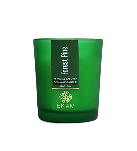 Image of EKAM Forest Pine Votive Soy Wax Scented Candle, 40 Grams, 10 Hours Burn Time| Long Lasting Premium Candles | Ideal for Home Decor | Gifting & Aromatherapy
