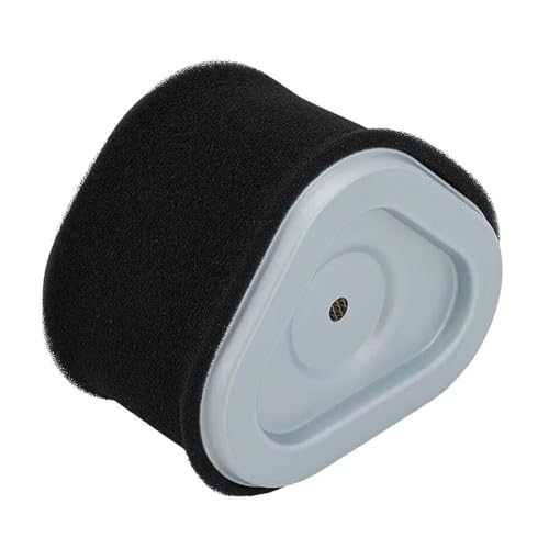 Filtre à air pour tondeuse double protection 4.48x3,26 Pouces CV49