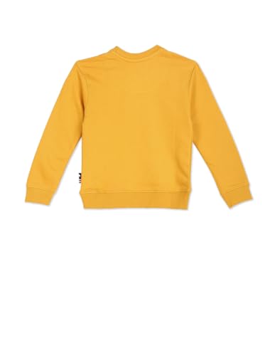 Image of U.S. Polo Assn. Baby-Boys Sweatshirt