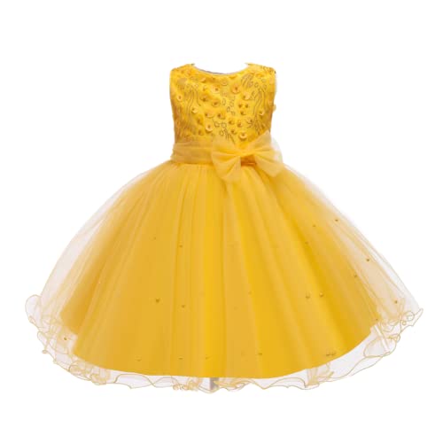Flower Girls Sleeveless Lace Bridesmaid Dress Kids A-line Pageant Birthday Formal Wedding Gown Party Dresses