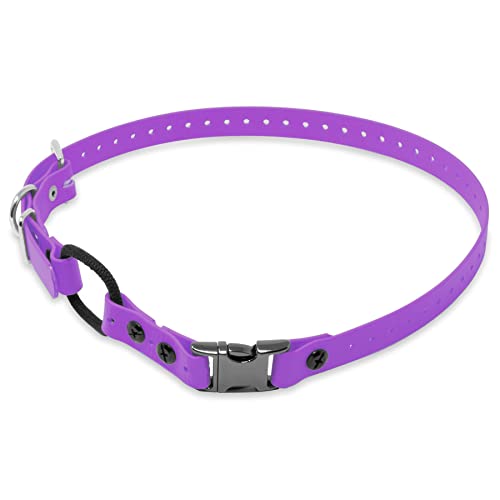 Educator Quick Snap 3/4 Bungee Dog Training Collar Strap Fits ME-300 ET-300/400 EZ-900 PE-900 & PG-300 Receivers 33 Trim-to-Fit Biothane Collar Purple
