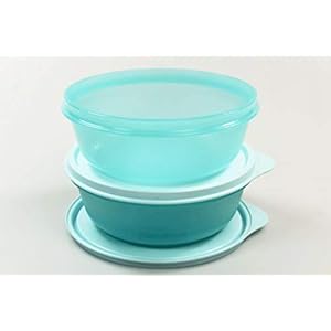 Tupperware koelkast hitparade 600 ml licht turkoois (2) kan grote hitparade panorama 38005