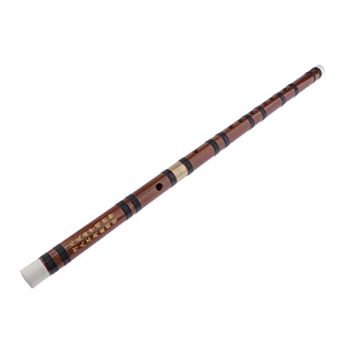 Image of Professional Chinese Bitter Bamboo Flute Dizi Woodwind Instrument D Key