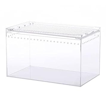 NANEEZOO Magnetic Acrylic Enclosure, 8x6x6 Inch Tall Long Case Reptile Habitat Terrarium cage for Terrestrial Arboreal Tarantula Scorpion Sling Isopods Lizards Invertebrates Insect Mantis