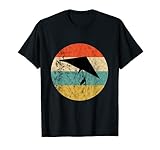 deltaplano a motore anfibio Questa bella novità grafica mostra un deltaplano con tramonto vintage retrò. Fa un regalo divertente per appendere e drogati adrenalinici. Ideale per salire nel cielo con nuvole ed esplorare il mondo dall'alto.