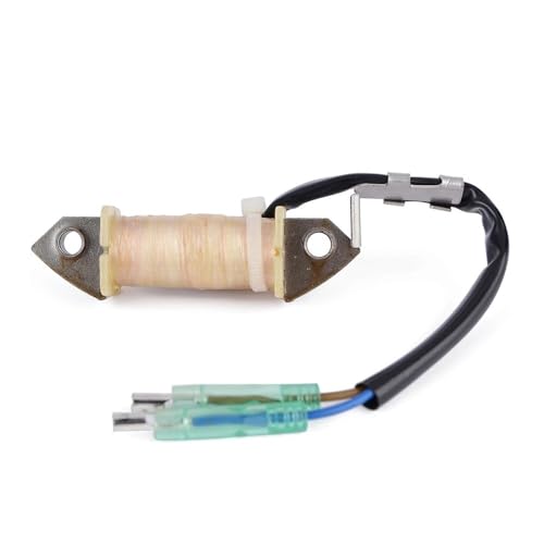 Bobine de hors-bord 66M-85520 pour moteur de bateau 4 temps F9.9 et F15