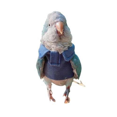 Parrot Bird Supplies, Light Flying Clothes, Warm and Comfortable, Tiger Skin, Green Cheek Parrot, Little Sun Parrot, Monk Parrot, Starling, mynah, Senegal Parrot, Mini Macaw Sweater (3XL)