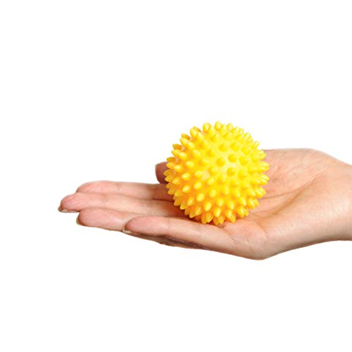 Esfera Fisioterapicas Fisioball, Ortho Pauher, Multicor, Único