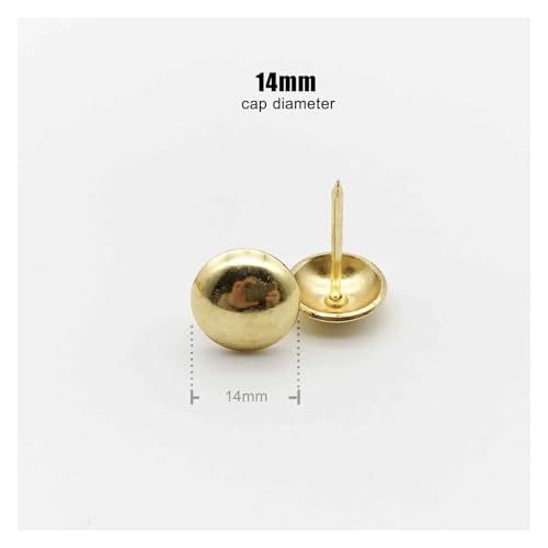 lW 100 ⒣ lC WG[ `FXg Mtg CP[X ؔ \t@ C  ^bN X^bh vbVs hAlC(Golden cap dia 14mm)