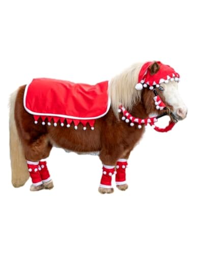 Tough 1 Mini 5 Piece Western Santa Set