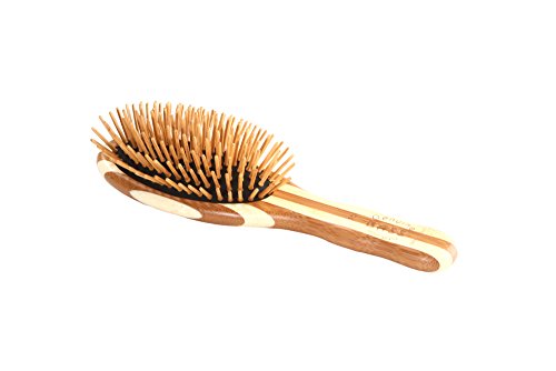 Bass Brushes | The Green Brush | Bamboo Pin + Bamboo Handle Hair Brush | Small Oval