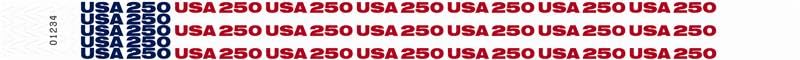 Image of 500 WristCo USA 250 Tyvek Wristbands for Events - Comfortable Tear Resistant Paper Bracelets ID Wrist Bands for Concerts Festivals Admission Party Identification