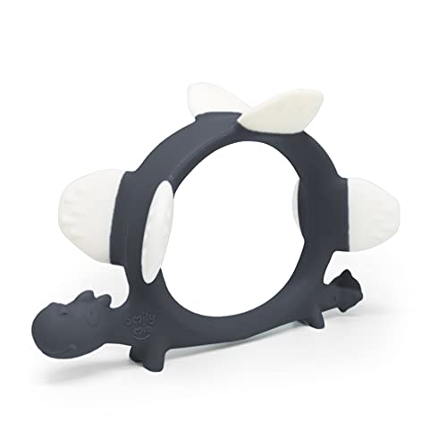 Smily Mia Norman Dinosaurier-Beißring Cover