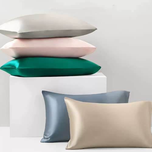 Beige Silk Pillow Cases with Zipper Made in USA, Real Silk Pillowcase for Acne Prone Skin Standard Size, 6A Grade Pure 22 Momme, 1 Pc 20"x26" (Standard, Beige)