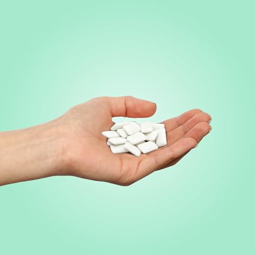 Aspartame Free Chewing Gum | 100% Xylitol | Natural Chocolate Mint Flavored Gum, 9 Pieces (Pack of 12)