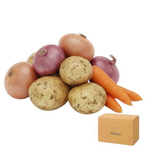 3ރZbg ʂ˂ WKC lQ 60TCY J[Zbg