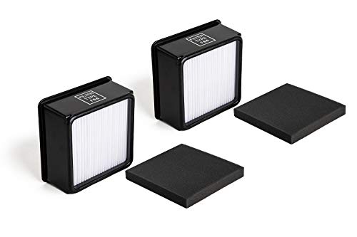 Green Label 2 Pack Replacement HEPA and Foam Filter Kit F66 for Dirt