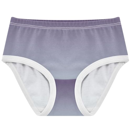 Animal Girls Underwear Toddlers 2t Cotton Panties for Girl Purple Pale Blue Gradient Briefs Underpants
