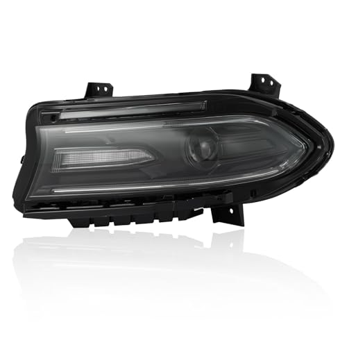 319r53oFkuL.jpg
