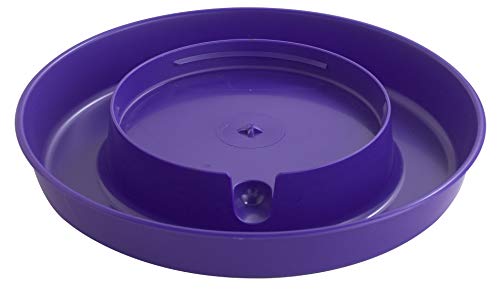 Little Giant® Screw-On Poultry Waterer Base | Heavy Duty Plastic Water Tray Base for Container | Chicken Waterer Screw On Base | 1 Gallon | Purple