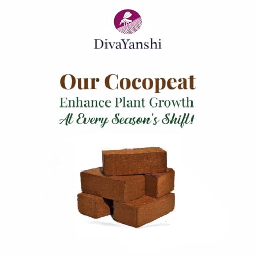 Image of Divayanshi Cocopeat Block for Plants & Gardening | 100% Natural Organic Growing Medium | High Water Retention Soil Conditioner for Home Garden, Nursery & Pots- 2kg