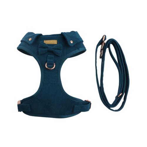 Guia e Peitoral para Cachorros M - Ajuste Regulável - Azul Turquesa | MARCAMI