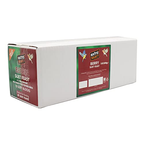 Extra Select Wild Bird High Energy Berry Suet Blocks 10x300gm – Wildlife News Shop - Vimarsana News