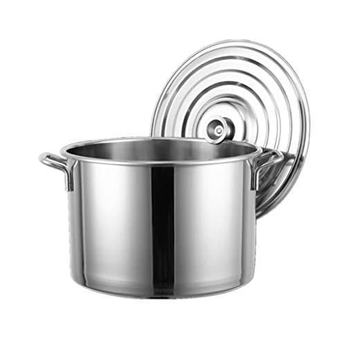 Olla para verduras de acero inoxidable apta para inducción con tapa, 22 litros, asas resistentes al calor, tapa tipo hundido