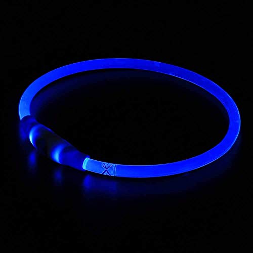 BSEEN LED Dog Collar USB Rechargeable Lighting Pet Collar (Blue-USB)