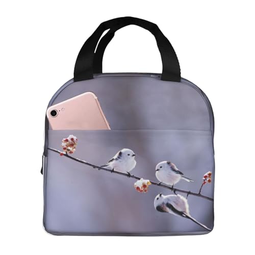 `obO V}GiK  ۗ ۉ ٓobO  RpNg O|Pbgt ~jg[gobO p肳obO fB[X Y ʋ ʊw s fB[X Y qp