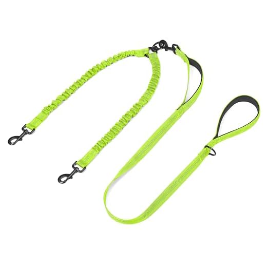 iYoPets Double Dog Leash with Comfortable Padded Handle and Shock Absorbing Reflective Bungee, 360 Swivel No Tangle Dual Dog Walking Leash for Two Dogs (Medium/Large, Green)