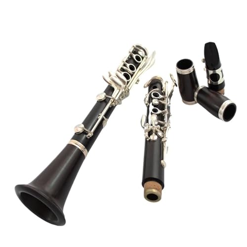 BtbgNlbg ؍ h x[NCg y l S vdlNlbg