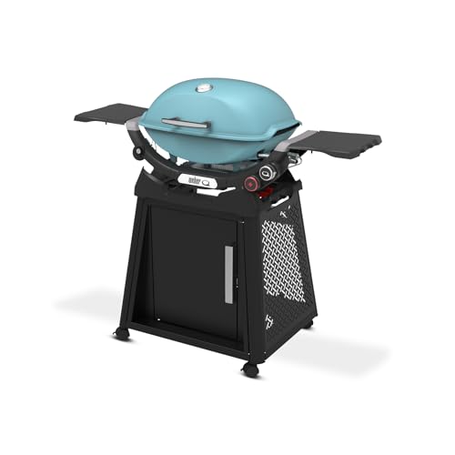 Weber Q 2800N+ Liquid Propane Grill with Stand, Sky Blue
