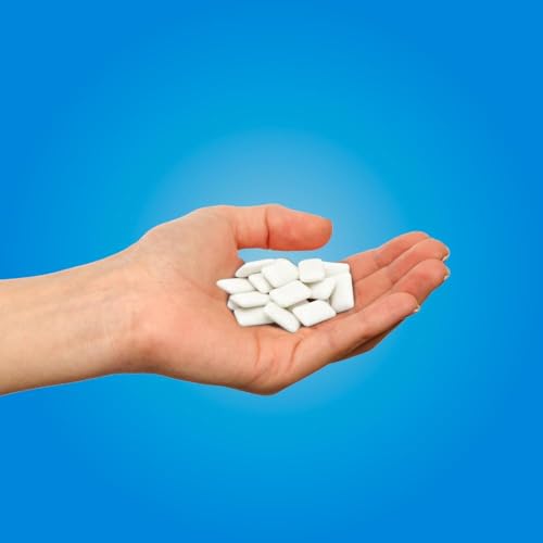 Image of PUR Gum | Aspartame Free Chewing Gum | 100% Xylitol | Natural Peppermint Flavored Gum, 55 Pieces (Pack of 2)