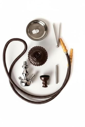 Image of FAB HOME DECOR QT Econo Dual Hose Hookah | Designer Double Pipe Aluminium Stem 12 Inch Glass, Steel Hookah Set For Heavy Smoke | Perfect for Party Lovers