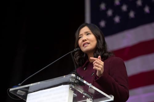 Payback politics? Wu backs challengers to state senators who blocked her tax plan