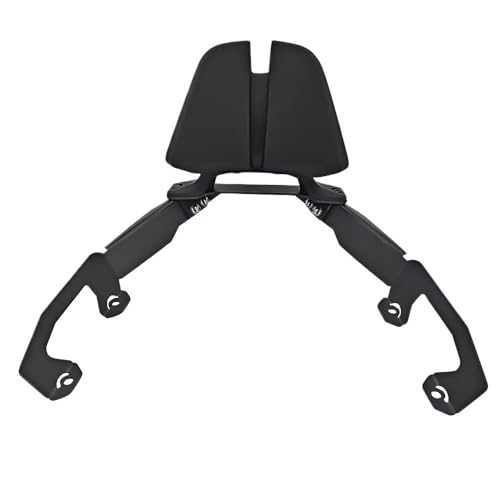 Coussin de dossier de siège arrière moto Forza350 pour duo en ville