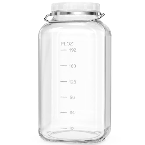 Folinstall 2 Gallon Large Glass Jar with Lid, Wide Mouth Storage Jars with Stainless Handle, Extra Big Glass Container with 2 Scale Mark for Storing Food, Kitchen Organization, 7400 ML/250 OZ