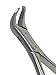 Premium German Dental Tooth Extracting Forceps # 23 Cow Horn Lower Molar Dental Instruments