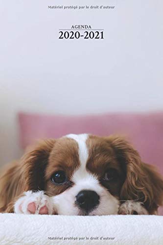 Télécharger Agenda 2020-2021: Agenda Scolaire de Juillet 2020 à Juillet 2021, Semainier simple & graphique, Sé PDF Ebook En Ligne