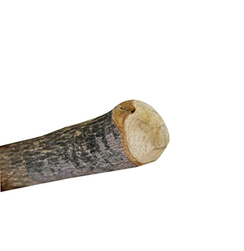 Animal House Goo + Pet Bite Toy pour Chiens en Bois d'olivier Pur 100% Naturel, os Fait à la Main en Italie (S) Cover