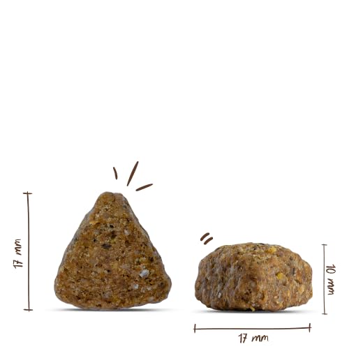 bosch HPC Adult mit Ente & Reis | Hundetrockenfutter für ausgewachsene Hunde aller Rassen | 1 x 3 kg