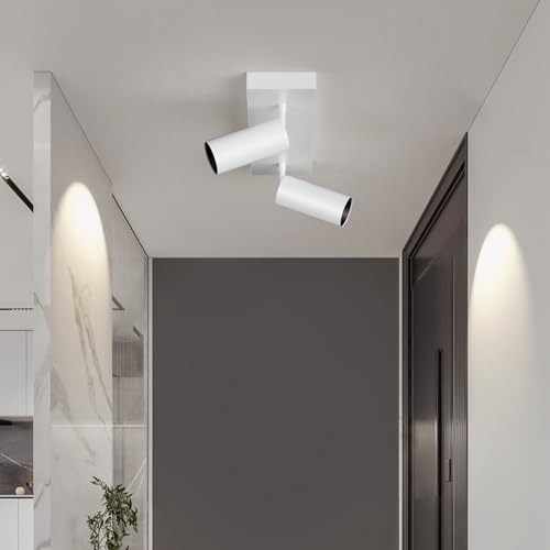 Image of Spotlight Indoor Ceiling LED Light,2 Lights 40W Modern Spot Light Fixtures 4000K White Accent 300Adjustable Picture Painting For Living Room Bedroom Hallway Gallery Flush Mount Directional Lighting