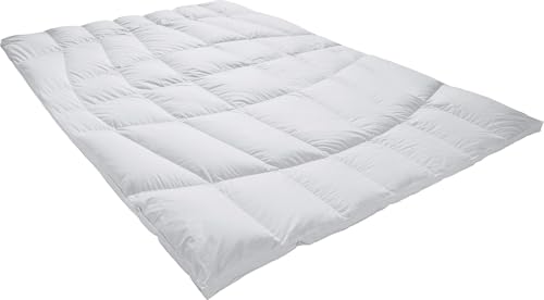 Erwin Müller Kassettendecke Helsinki 100% Eiderdaunen 3 cm Stege -...