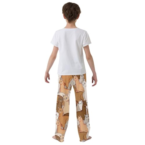ZZXXB Lovely Llama Pattern Boys Long Pants Soft Trousers Elastic Waist Kids Lounge Bottoms with Pockets S-XL3