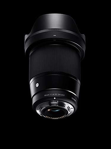 Sigma 14-24mm lens