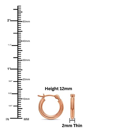 Image of 14K Rose Gold Classic Shiny Polished Round Hoop Earrings, 2mm tube