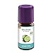 Baldini Aroma Limette 5 ml