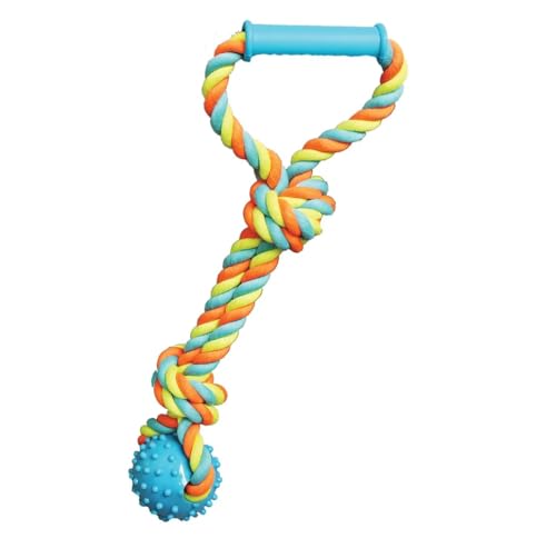 Rope and Rubber 15 Inch Dog Toy Dental Hygene Nubs Plastic Handle Toss Fetch Tug (Blue)